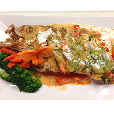 Red Snapper